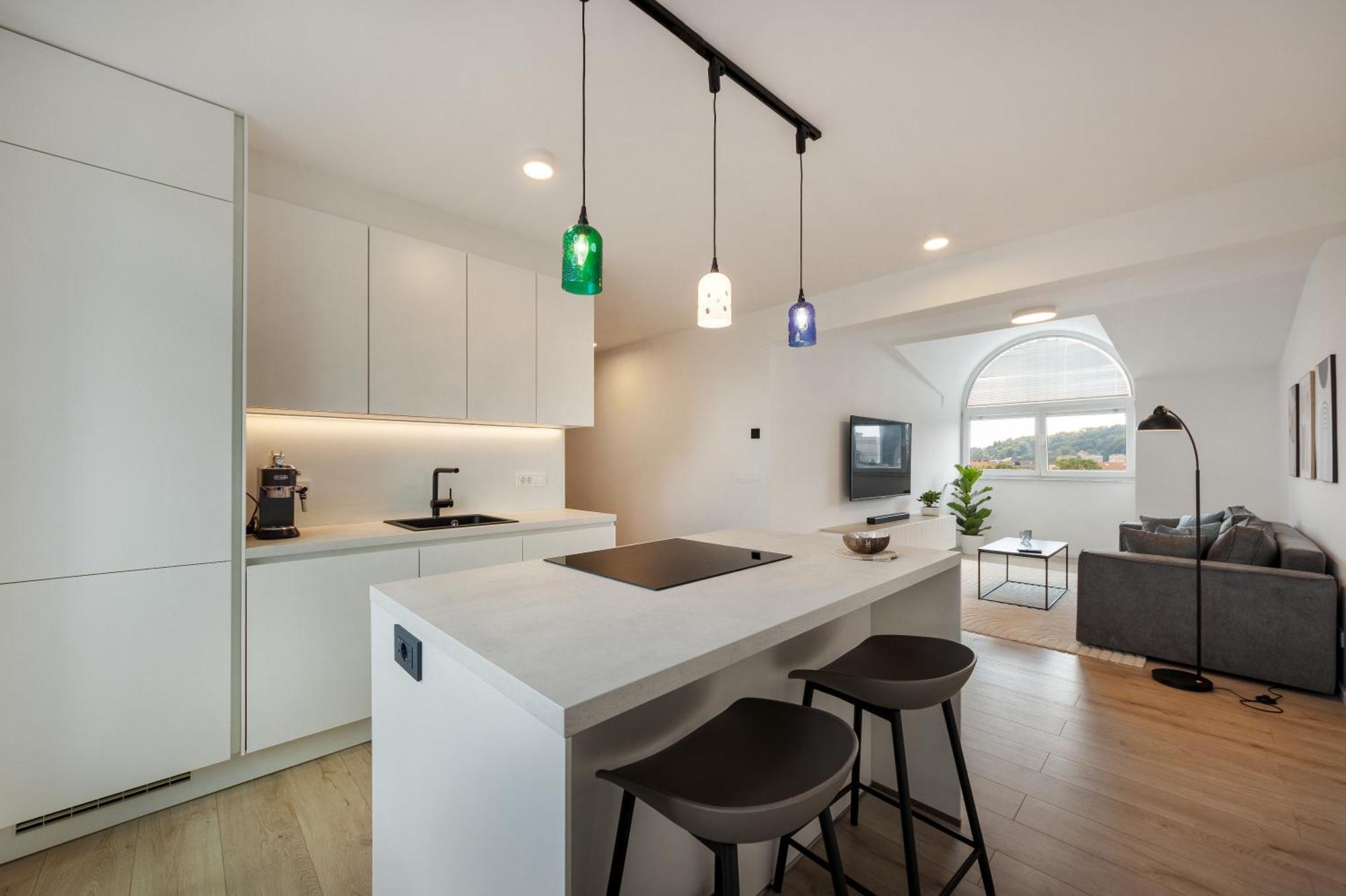 Luxe Penthouse With A Castle View Любляна Екстер'єр фото